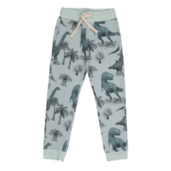 Dinosaurland-Jogger