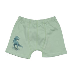 Dinosaurland - Cotton (Organic)