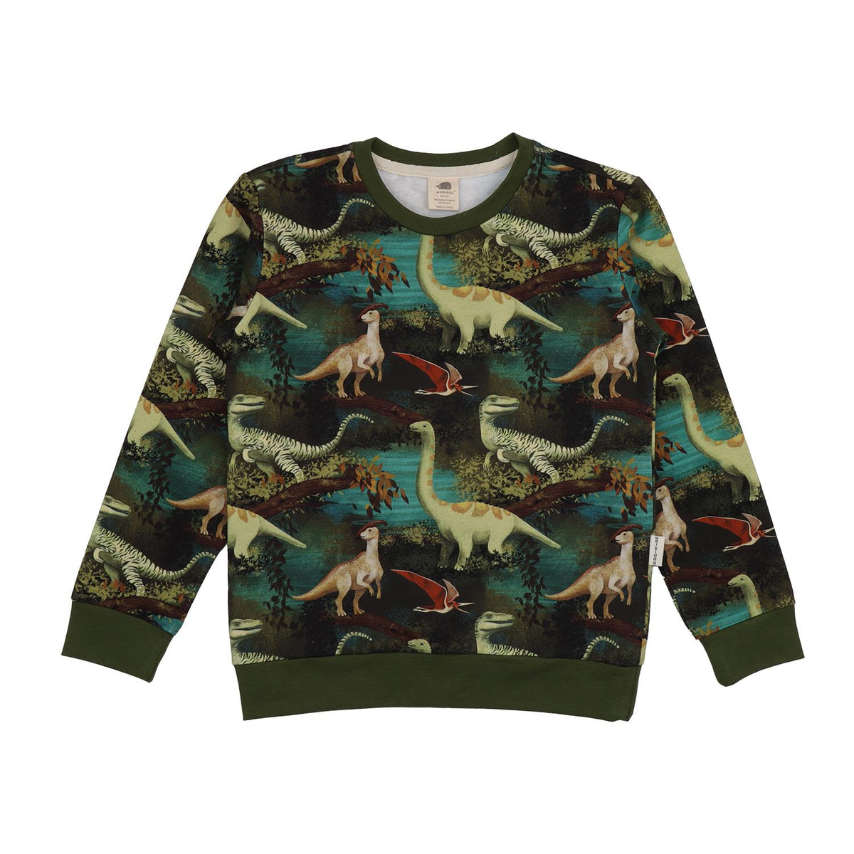 Dinasour Jungle-Sweatshirt