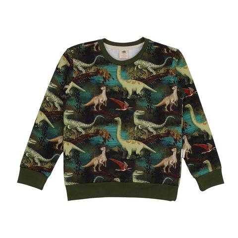 Dinasour Jungle-Sweatshirt