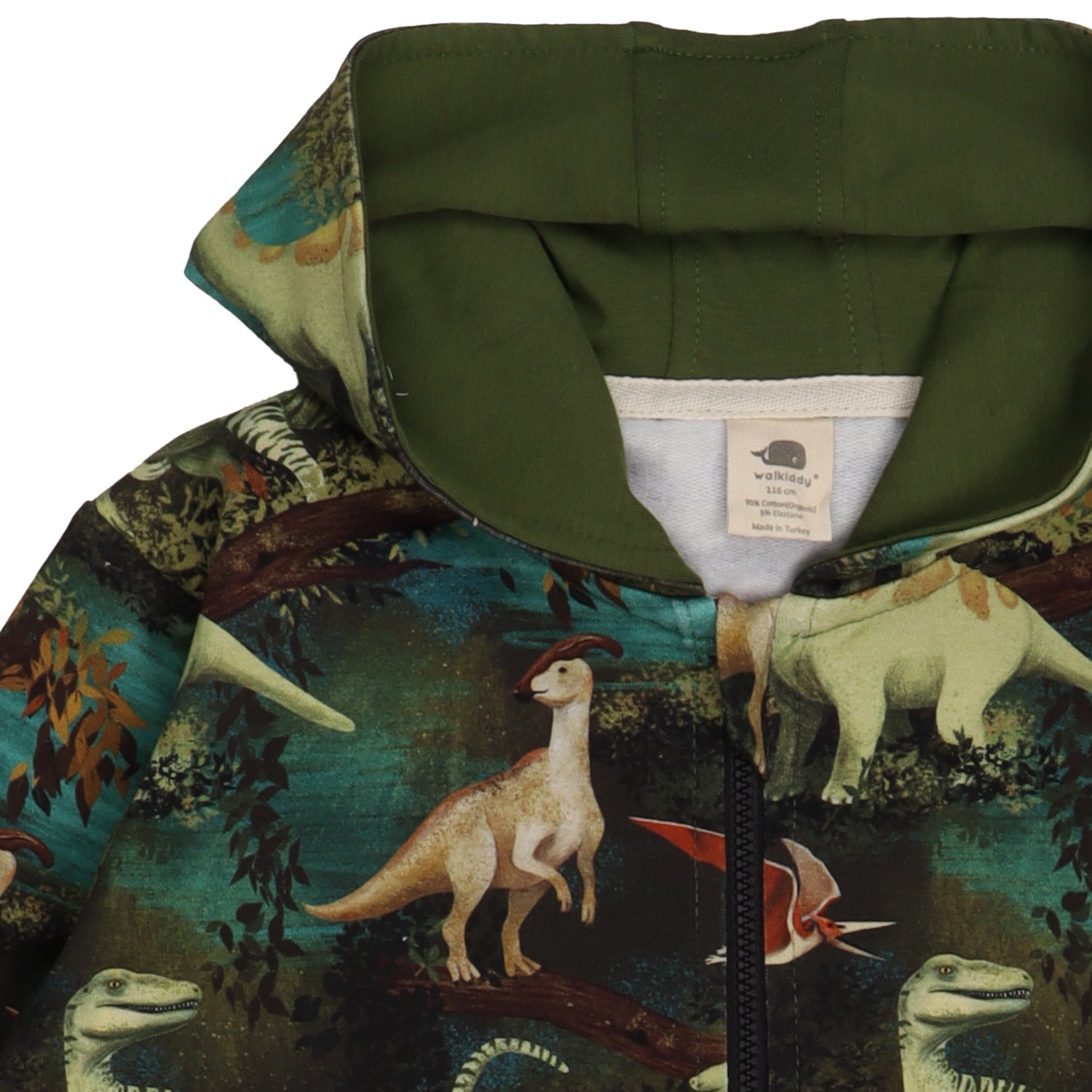 Dinasour Jungle-Sweat Jacket