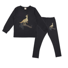 Dinosaur Jungle - Baumwolle (Bio)