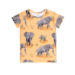 T-shirt de algodão (orgânico)