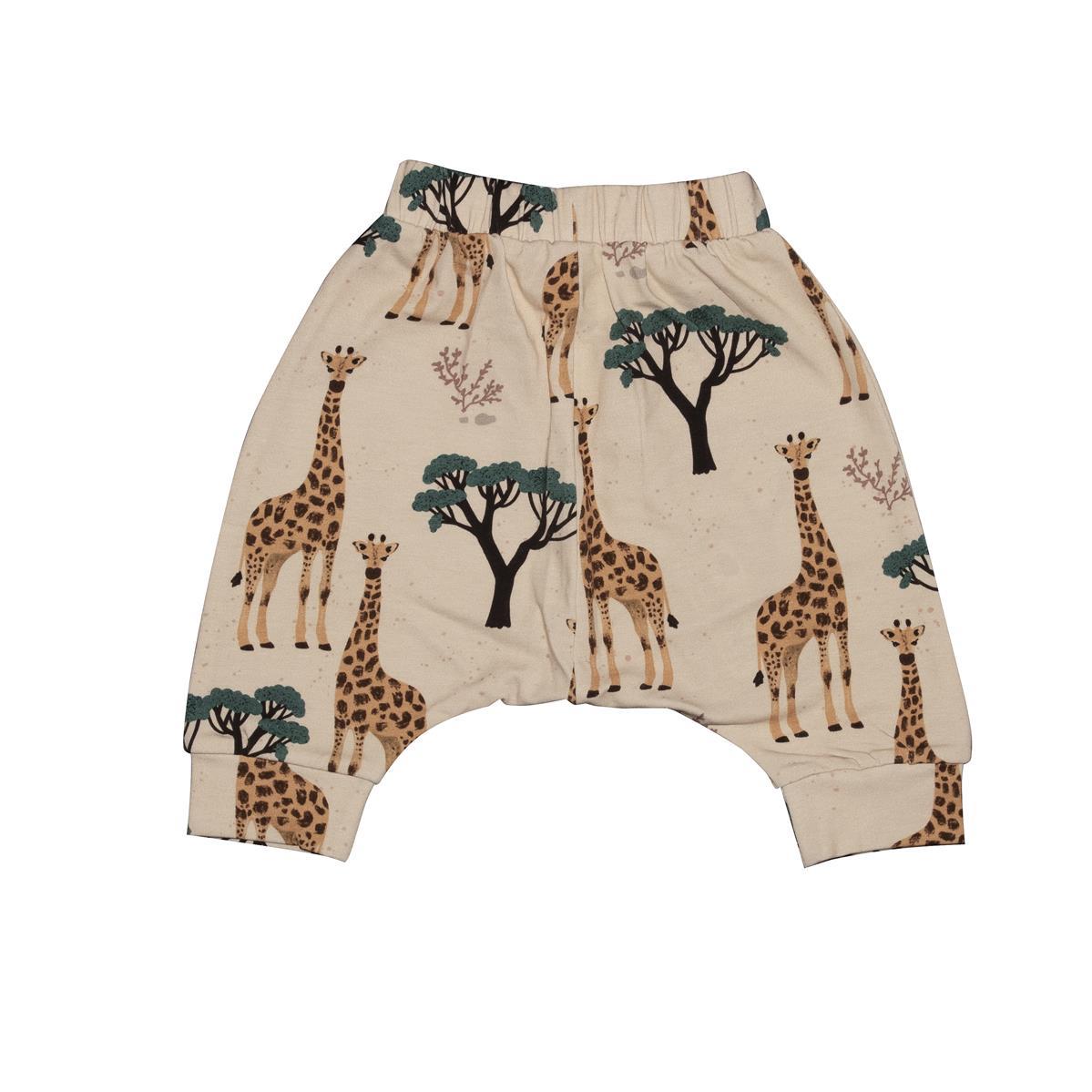 Cotton shorts (organic)