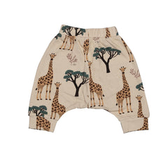 Cotton shorts (organic)