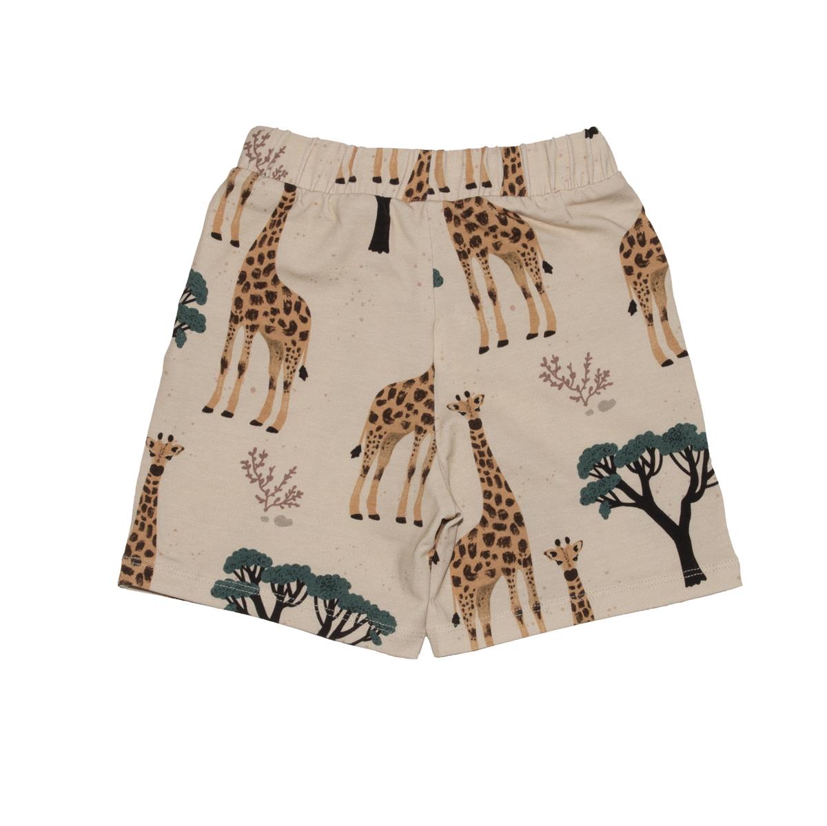 Cotton shorts (organic)