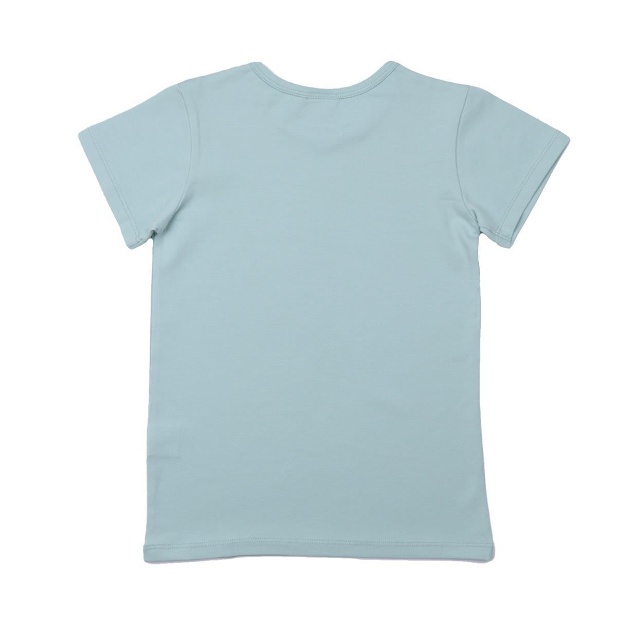 Cotton T-shirt (organic)
