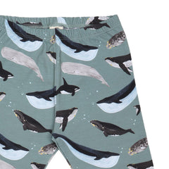 De Grote Walvissen - Legging
