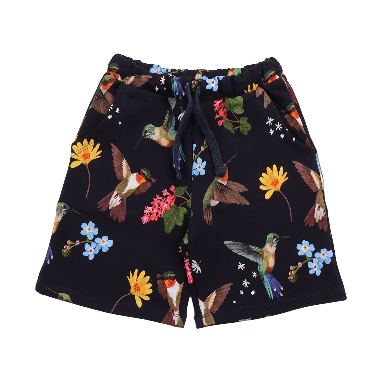 Hummingbirds Around Flowers-Shorts