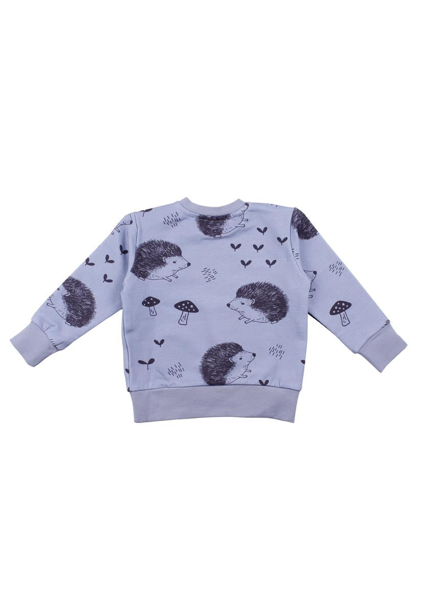 Pullover sweatshirt made of cotton (organic)