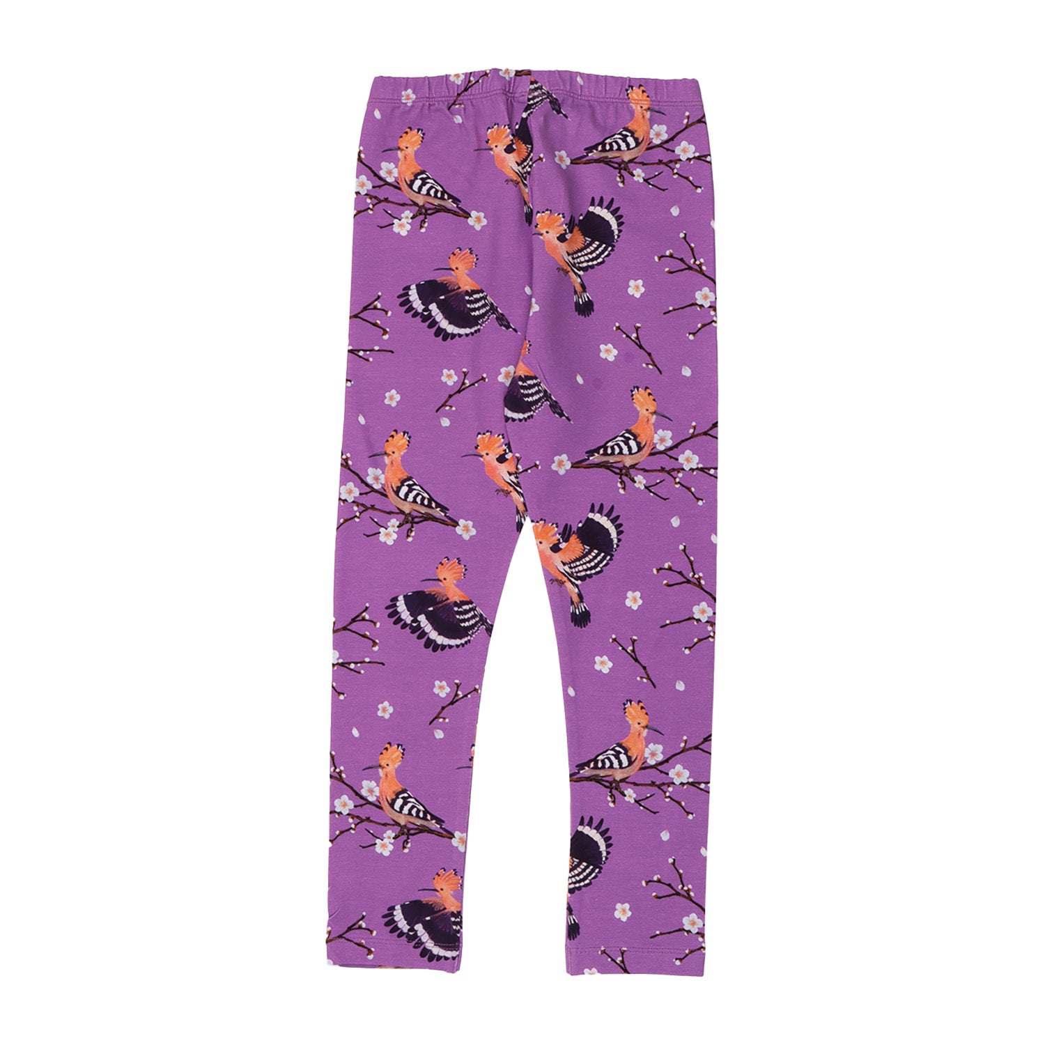 Happy Hoopoes-Leggings