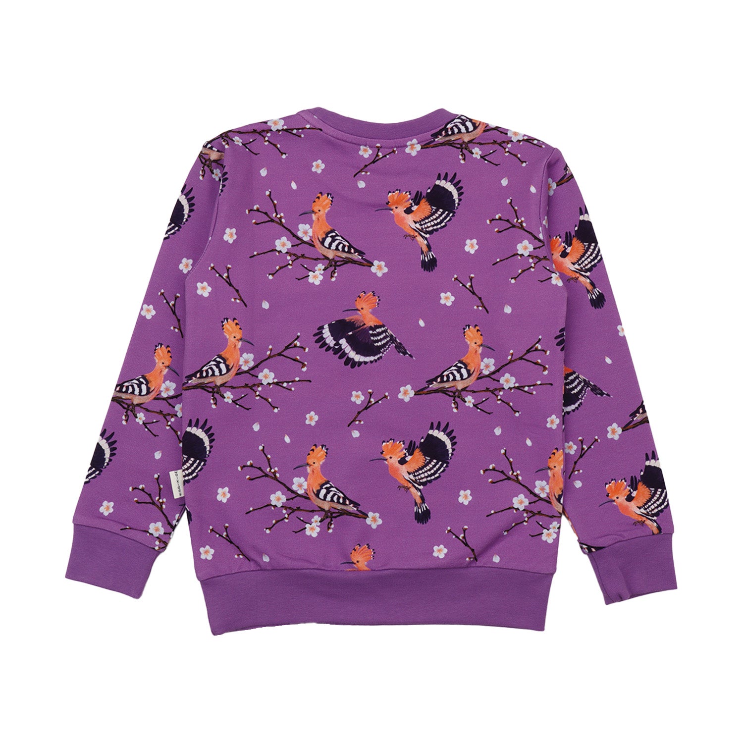 Happy Hoopoes Sweatshirt für Kinder – Walkiddy nachhaltige Kindermode aus Bio-Baumwolle