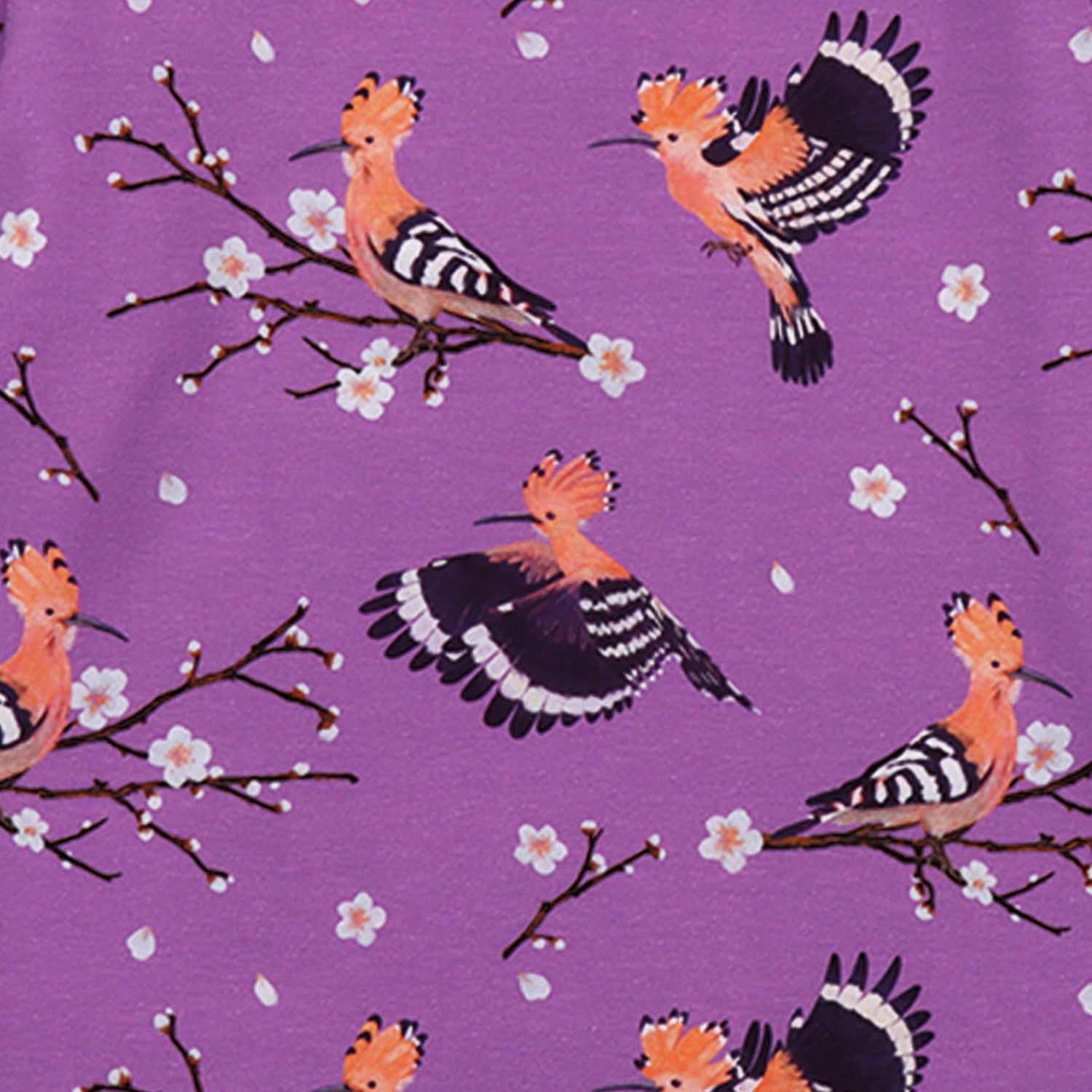 Happy Hoopoes Sweatshirt für Kinder – Walkiddy nachhaltige Kindermode aus Bio-Baumwolle