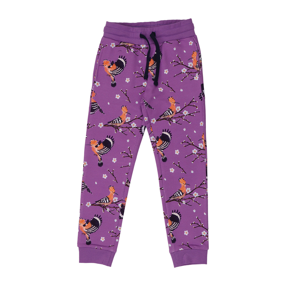 Happy Hoopoes Jogginghose für Kinder – Walkiddy nachhaltige Kindermode aus Bio-Baumwolle