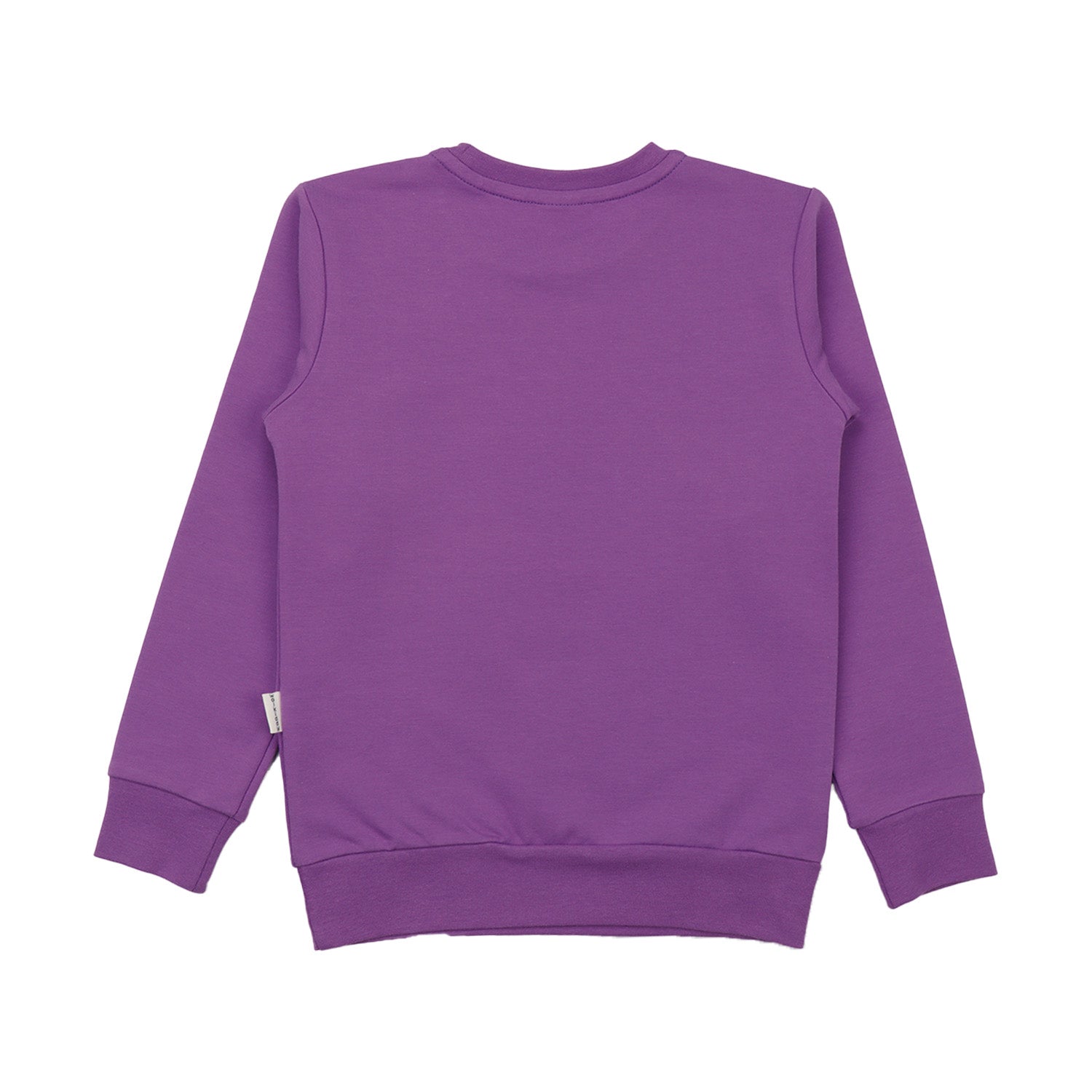 Happy Hoopoes Sweatshirt für Kinder – Walkiddy nachhaltige Kindermode aus Bio-Baumwolle