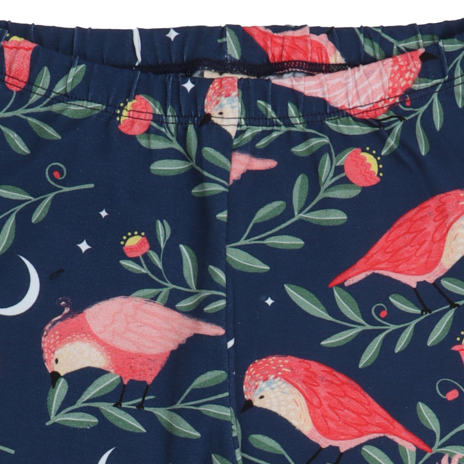 Pinky Birds taytı