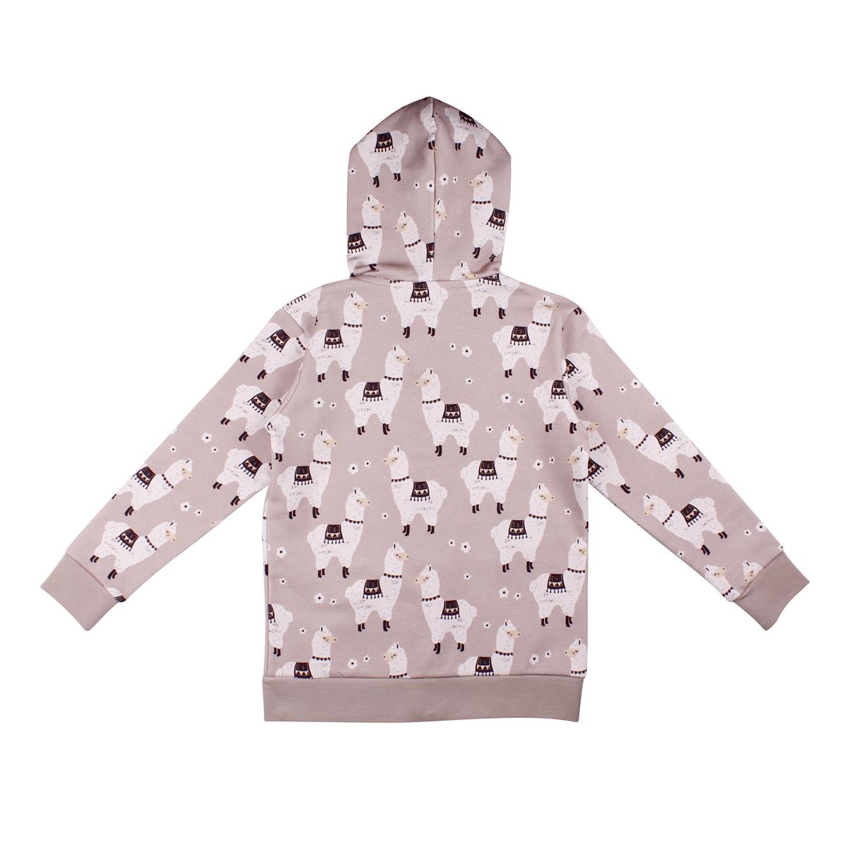 Sweat jacket made of cotton (organic)