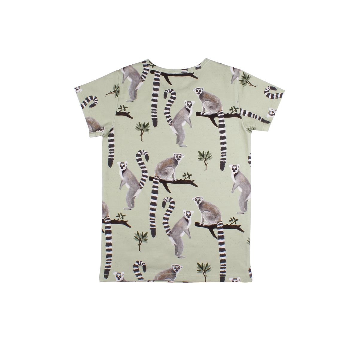 Cotton T-shirt (organic)