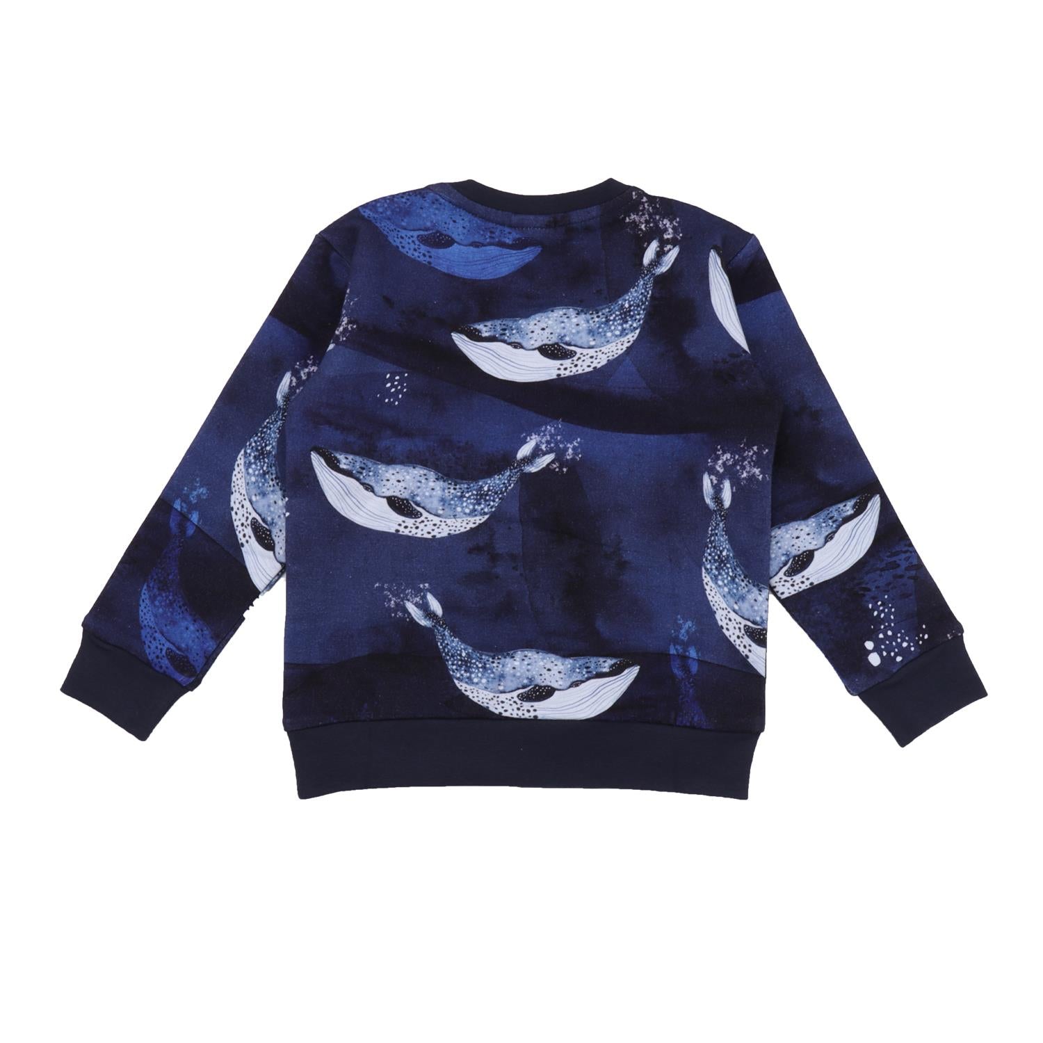 Pullover-Sweatshirt aus Baumwolle (Bio)