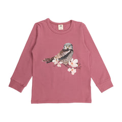 Owl Friends - Cotton (Organic)