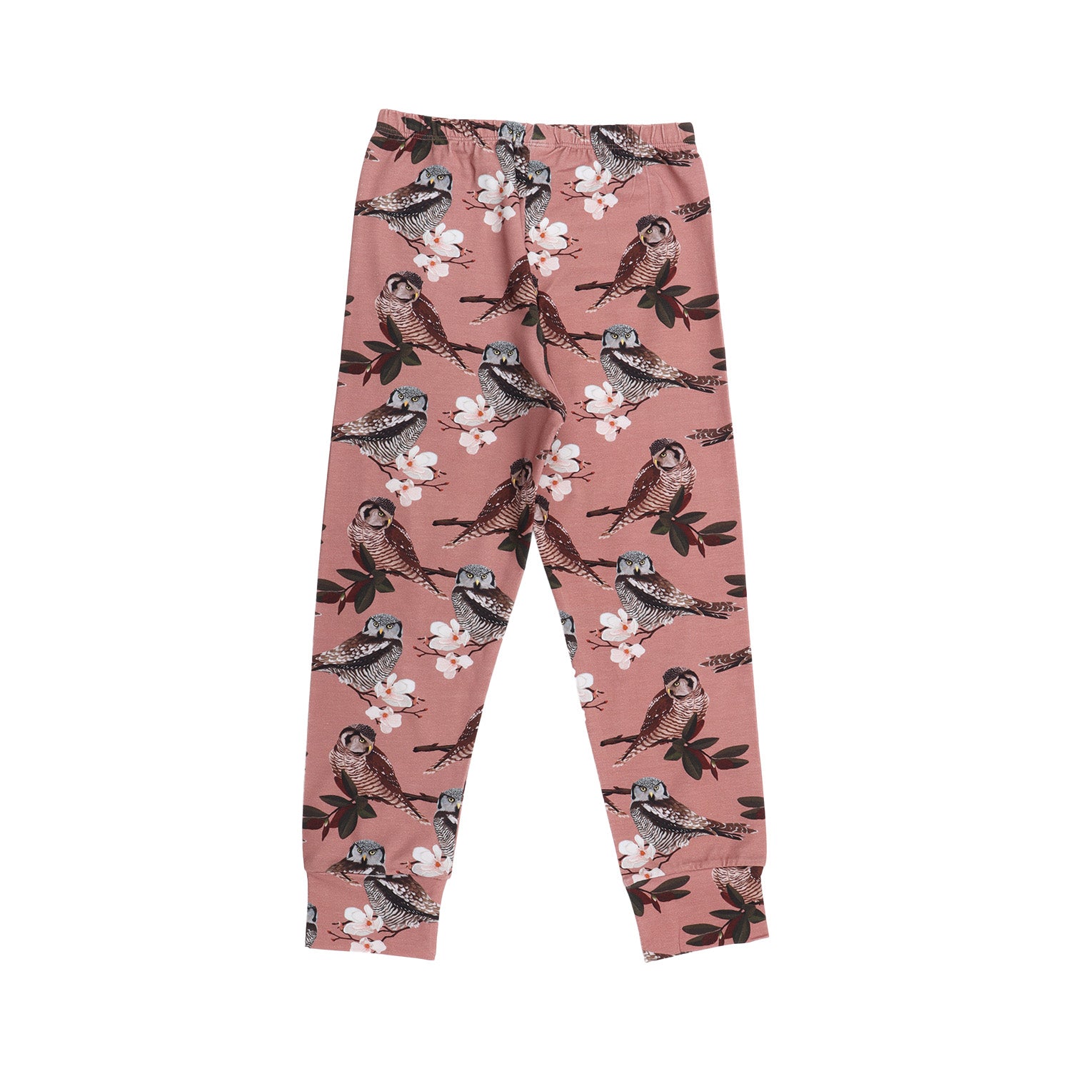 Owl Friends - Cotton (Organic)