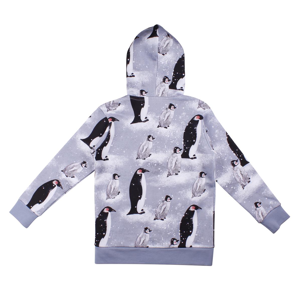 Sweat jacket made of cotton (organic)