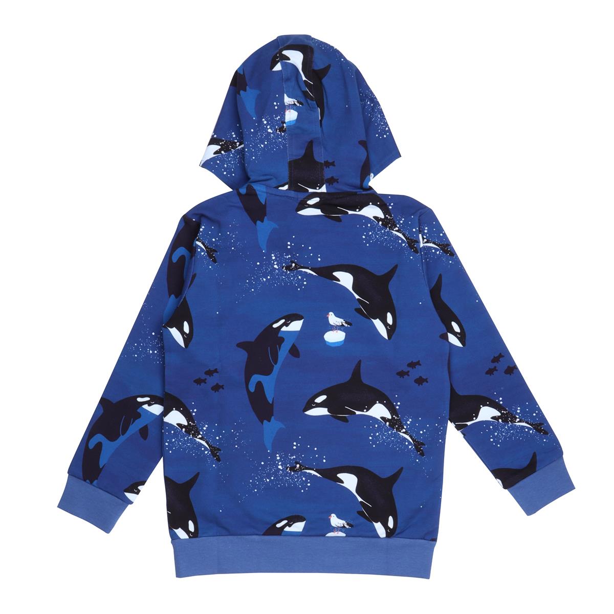 Sweat jacket made of cotton (organic)