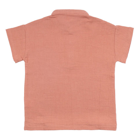 Papaya Smoothie - Musli