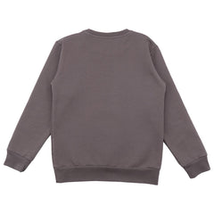 Pullover sweatshirt made of cotton (organic)