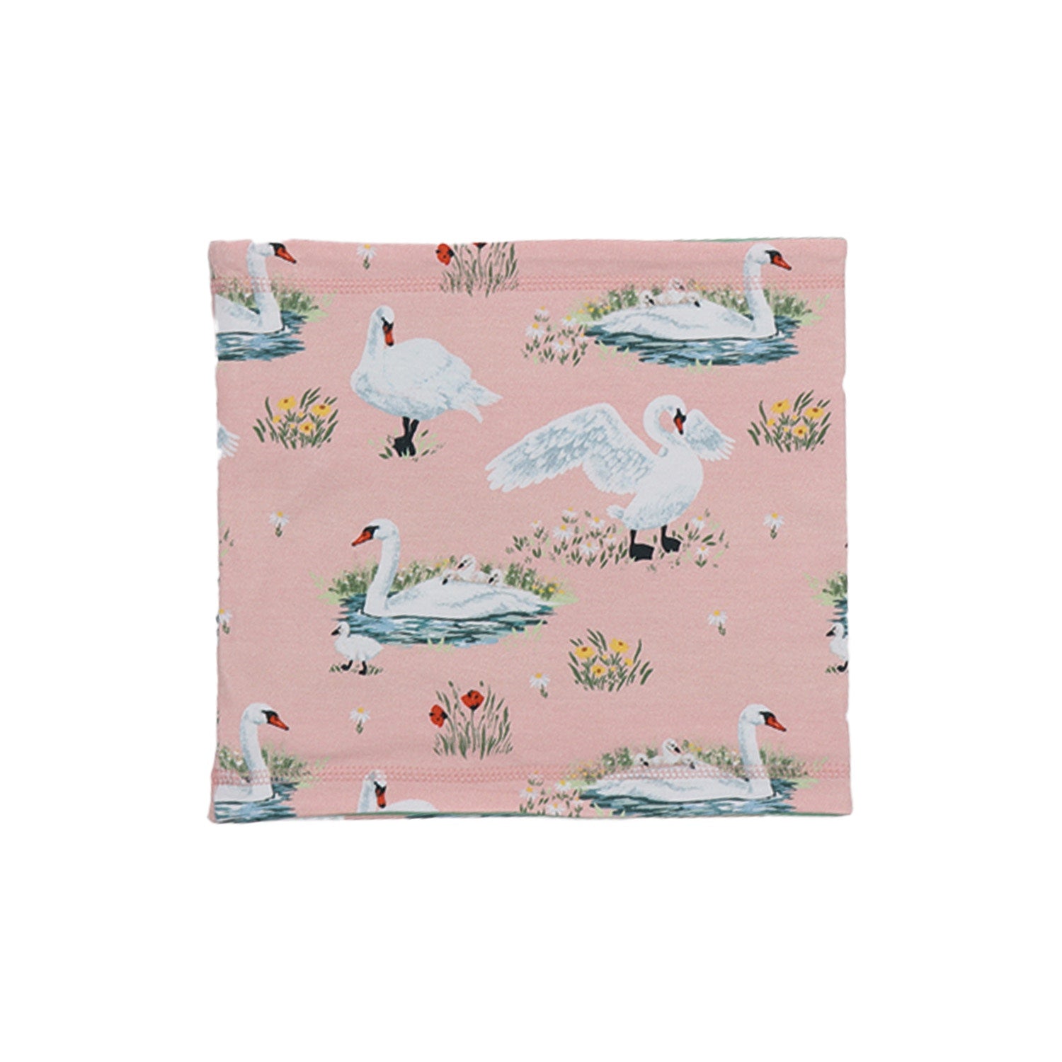 Swans in Spring-Loop