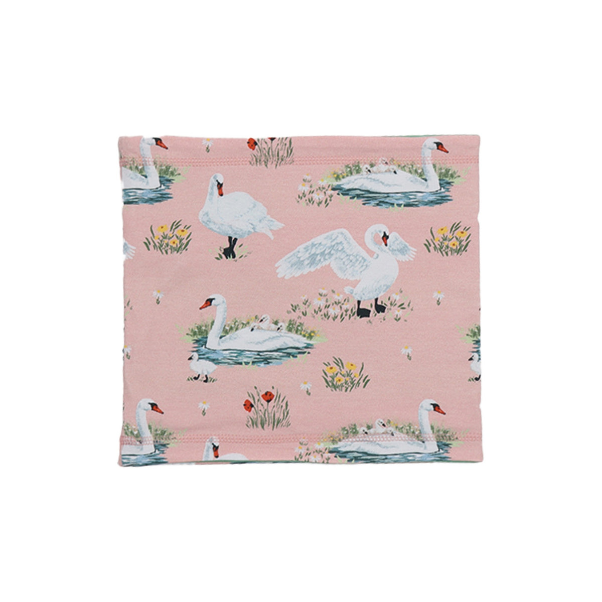 Swans in Spring-Loop