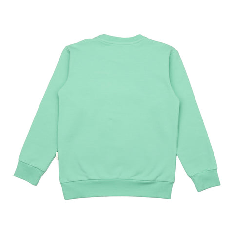 Swans in Spring-Sweatshirt