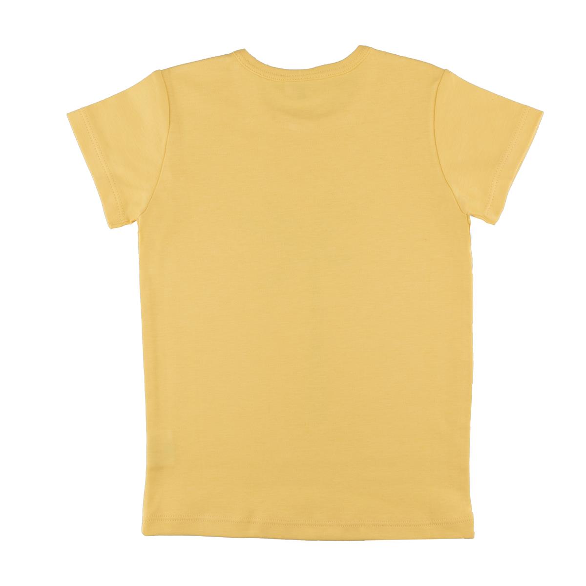 Cotton T-shirt (organic)