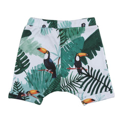 Cotton shorts (organic)