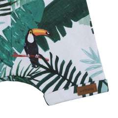 Cotton shorts (organic)