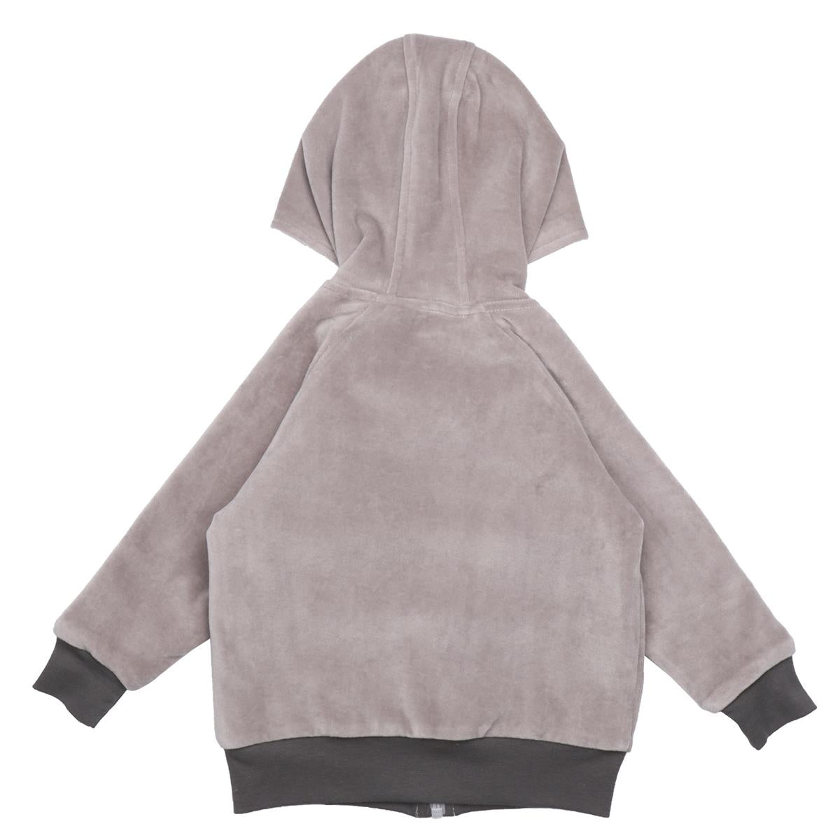 Sweat jacket made of cotton (organic)