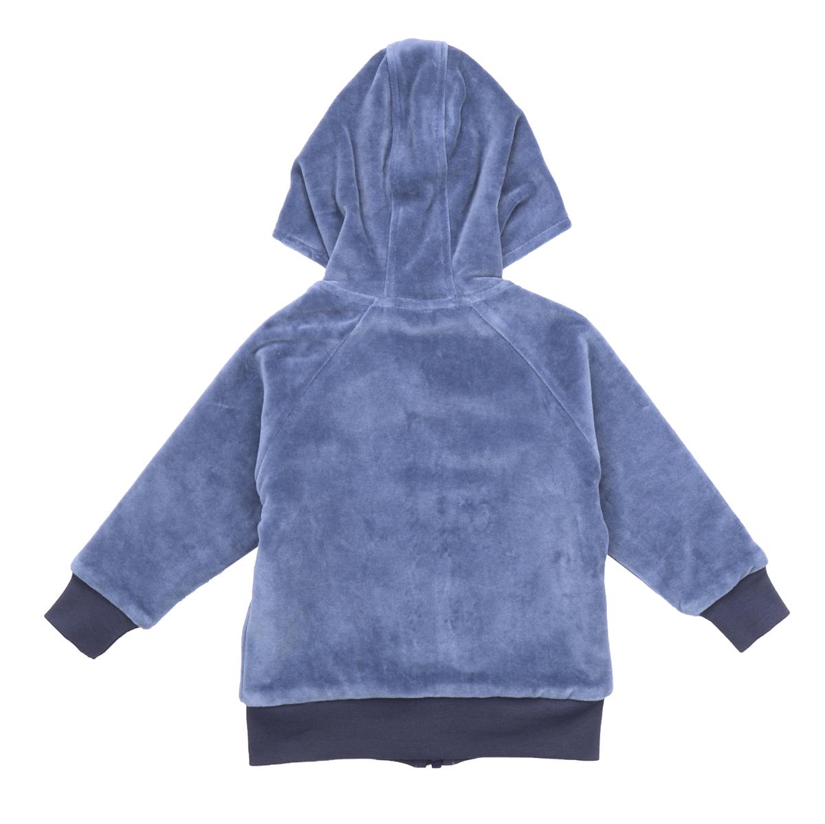 Sweat jacket made of cotton (organic)