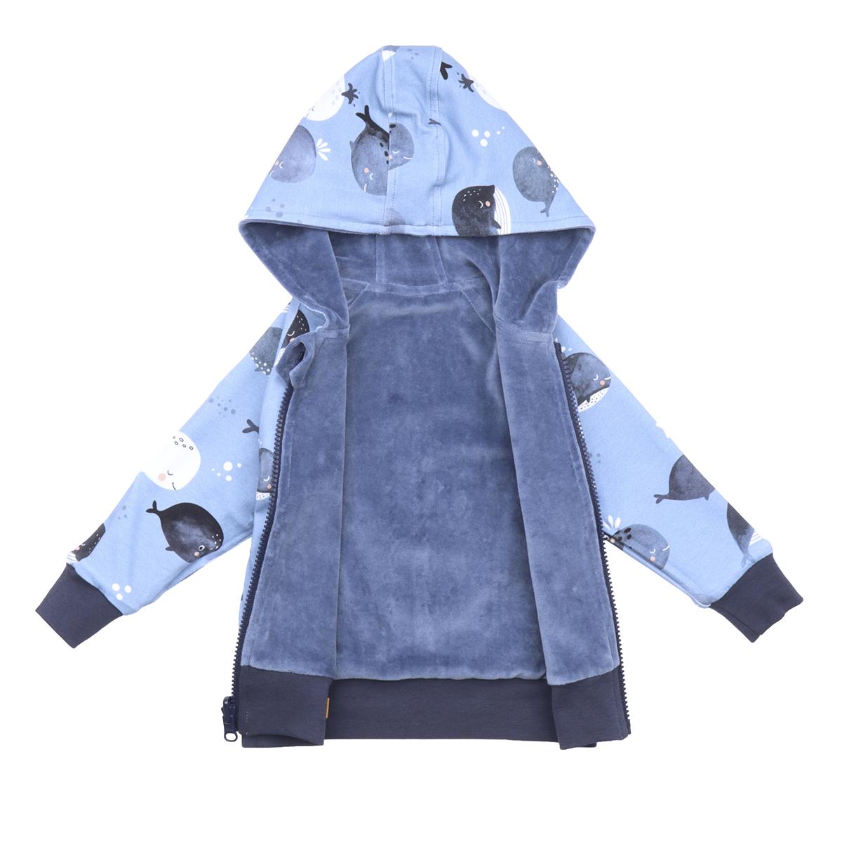 Sweat jacket made of cotton (organic)