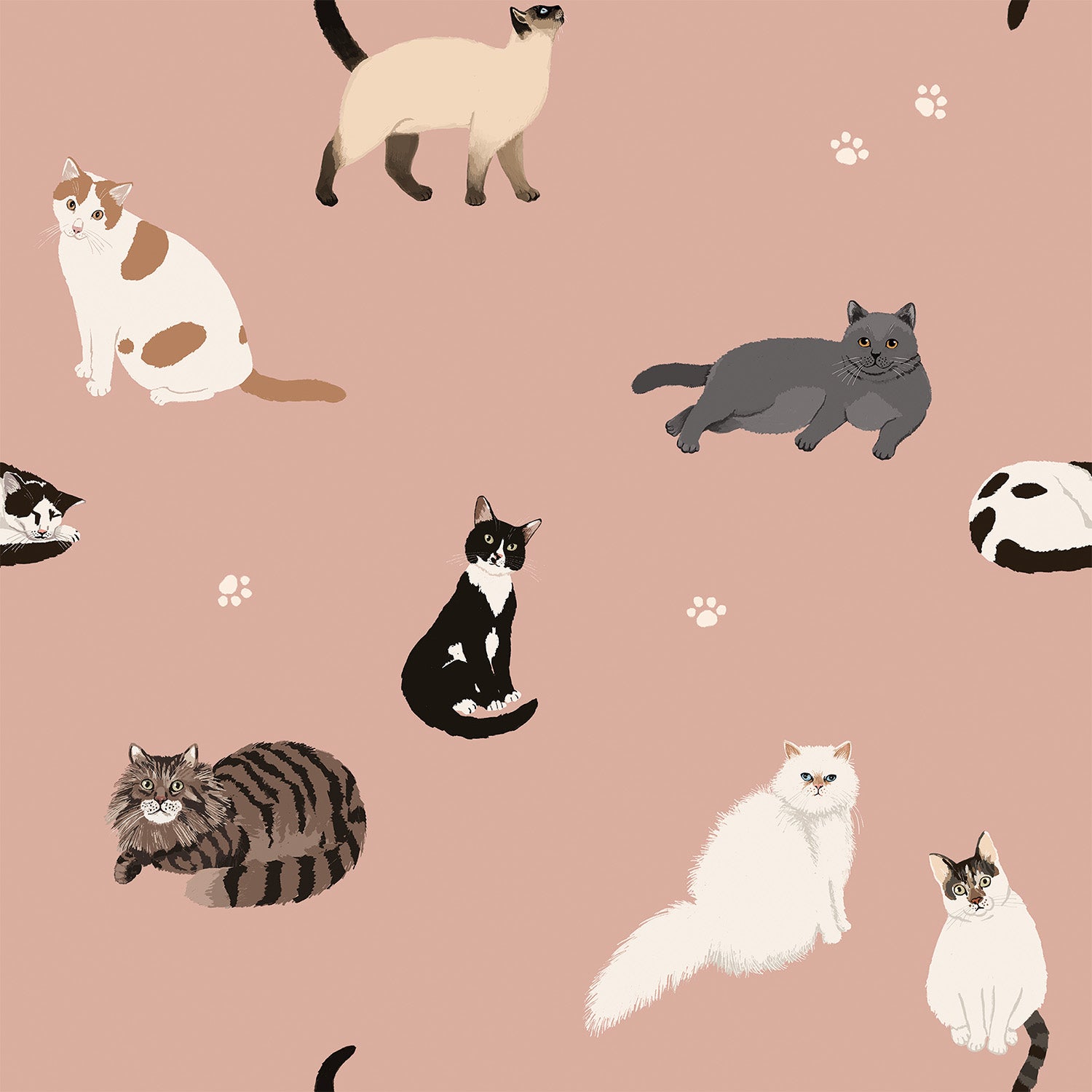 Vários gatos - sweatshirt com folhos