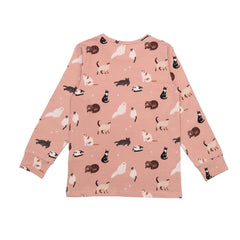 Chats divers - Pyjama