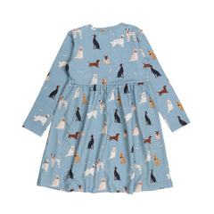 Chiens divers – Robe