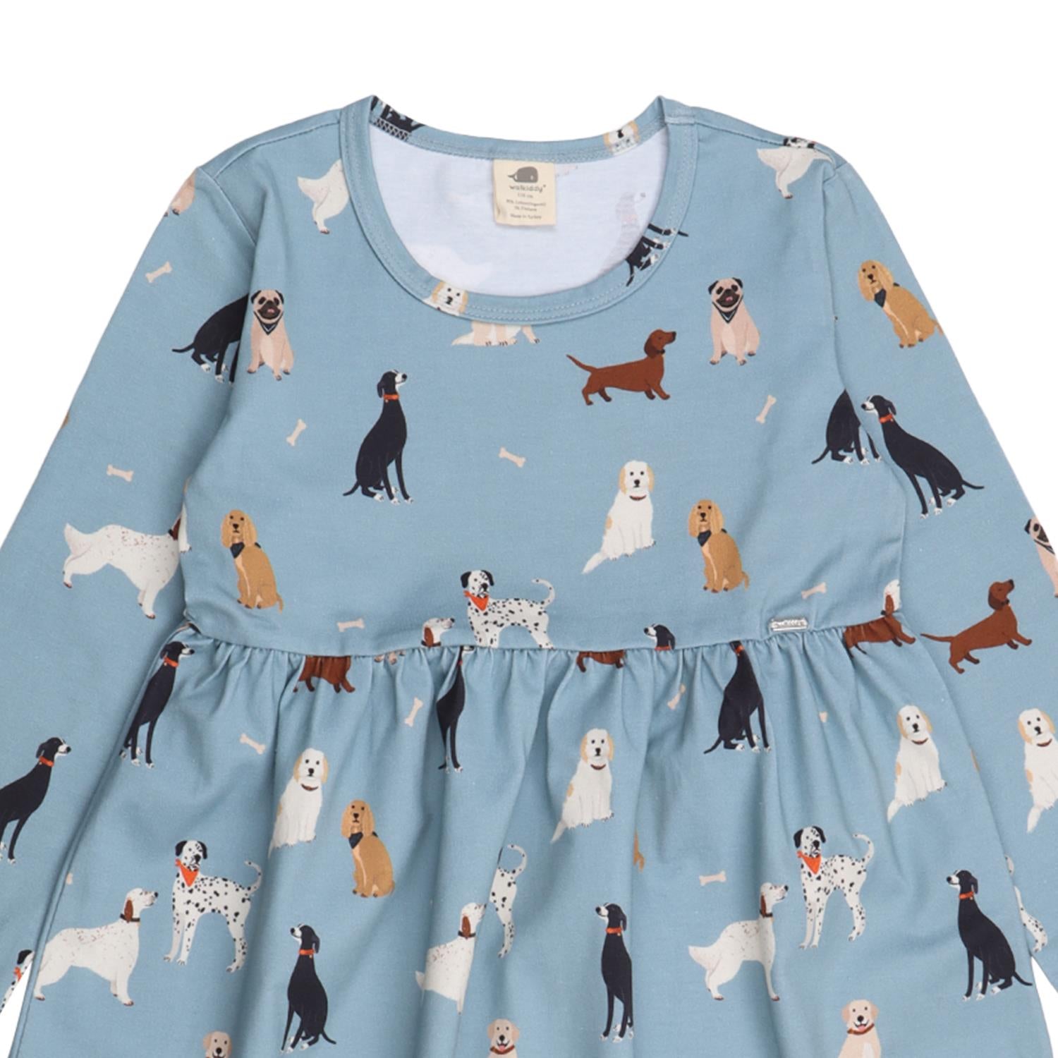 Chiens divers – Robe
