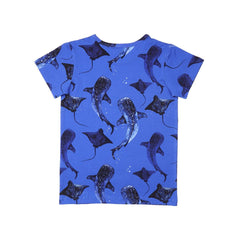 Cotton T-shirt (organic)