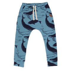 Pantaloni da jogging in cotone (organico)