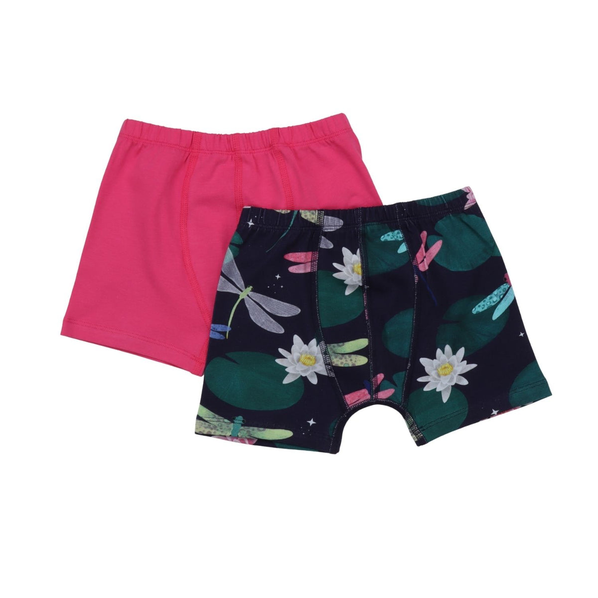 Colorful Dragonflies-Boxer