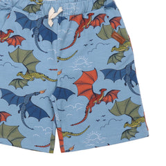 Colorful Dragons - Shorts