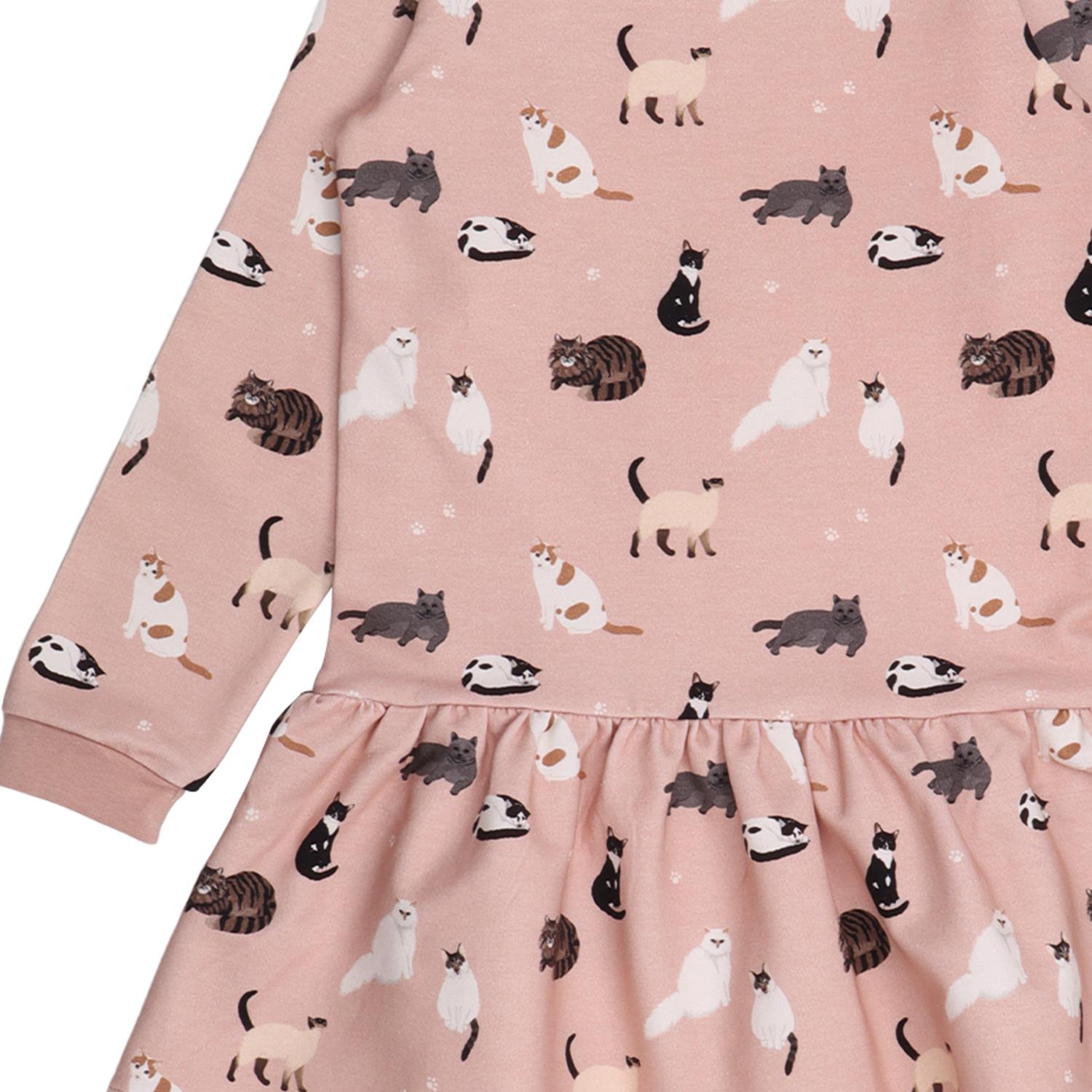 Diverse katten - Zweetjurk