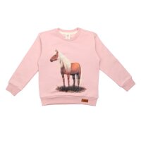 Pullover-Sweatshirt aus Baumwolle (Bio) 80