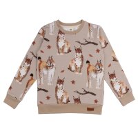 Cotton pullover sweatshirt (organic) 128