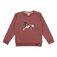 Pullover-Sweatshirt aus Baumwolle (Bio) 128